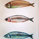 Peixos amb aquarel·les. Un progetto di Pittura ad acquerello di Gemma Aurich Muntané - 22.07.2025