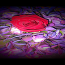 Primer paso como florista. Un projet de Décoration, DIY, Art floral et végétal, Design d'intérieur, Pa , et sagisme de Cristhian Luna Romero - 25.07.2025