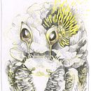 My project for the course : Whimsical Sketchbook: Draw Imaginary Creatures from Nature. Drawing, Naturalistic Illustration, Pencil Drawing, Sketchbook, and Watercolor Painting project by Amelie - 07.26.2025