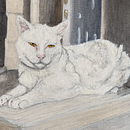 Grandad's Cat. Een project van Traditionele illustratie van username_331640 - 29.07.2025