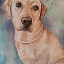 Watercolour painting commission of dog on rough cotton paper . % Diane Agius Calleja tarafından hazırlanan Güzel sanatlar projesi - 07.29.2025