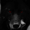 Veneno Ekhymosis. Pós-produção audiovisual, e Edição de vídeo projeto de saragalvis - 31.07.2025