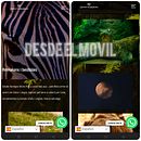 web par mis fotografias. Un projet de Développement web, Webdesign, Informatique, UX / UI, Développement no code , et Conception de produits numériques de goldmufasa - 01.08.2025