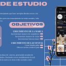 DecorArteSH desde cero. Marketing de conteúdo, Marketing digital, Marketing para Facebook, Marketing para Instagram, e Redes sociais projeto de josefinapaoli - 03.08.2025