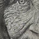 Lo que guarda el tiempo . Projekt z dziedziny R, sunek realist, czn,  R, sunek, R i sunek ołówkiem użytkownika Mariela Ambrosis - 04.08.2025