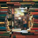 SISTEMA DE GESTION DE BIBLIOTECA. Un progetto di Web development e Programmazione di Almudena Arrastio Elizondo - 06.08.2025