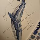 Rorcual común, las acuarelas en el océanos Ein Projekt aus dem Bereich Traditionelle Illustration von Laura - 09.08.2025