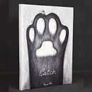 “Catch” illustrated book. Projekt z dziedziny Trad, c, jna ilustracja,  R, sunek, Craft, Projektowanie graficzne,  Sztuki piękne i Design użytkownika Virginia Mori - 11.08.2025