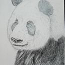 Proyecto Eduardo . Een project van  Tekening, Traditionele illustratie, Naturalistische illustratie y Tekening met potlood van Eduardo Sánchez Ferreira - 12.08.2025