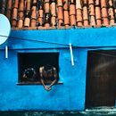 Viçosa do Ceará - A Princesinha da Ibiapaba. Un proyecto de Fotografía, Fotografía documental, Fotografía en exteriores, Fotografía Lifest y le de Arthur Antunes de Aquino Silva - 13.08.2025