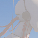 Mirando al futuro . % frank_ag tarafından hazırlanan 3D, 3D Tasarım, Dijital İllüstras, Ve on projesi - 08.14.2025