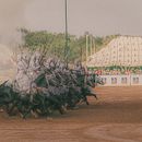 Equine race. Un proyecto de Fotografía de Sifeddine Mohamed machiche - 14.08.2025