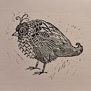 Quail lino print . % sjwsarahjane tarafından hazırlanan Baskı, O, Ve mak projesi - 08.17.2025