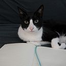 Sesión Fotográfica Día del Libro. Photograph, Studio Photograph, Product Photograph, E-commerce, Advertising, Lifest, and le Photograph project by Stephanie Musiol - 08.19.2025