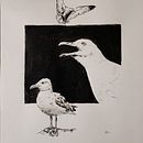 Goélands à l'encre de chine. Un projet de Dessin, Illustration à l'encre, Illustration naturaliste , et Esquisse  de flold - 20.08.2025