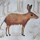 Waldbewohner in Gouachefarben. Projekt z dziedziny Tradycyjna ilustracja, Projektowanie postaci,  Sztuki piękne,  Malarstwo, Ilustracje dla dzieci, Malowanie gwaszami i Książka obrazkowa użytkownika sara_straumann - 24.08.2025