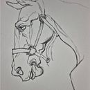 Mis practicas para mejorar mi visión de dibujo . % Ana Cecilia Franco Gutierrez tarafından hazırlanan Çizim, Şekil Çizimi, Kalem Çizimi, Portre Çizimi, Eskiz defteri, Ve Eskiz çizimi projesi - 08.24.2025