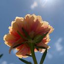 Desde abajo. Een project van Fotografie voor Instagram, Mobiele fotografie y Buitenfotografie van José Ernesto Parra - 28.08.2025
