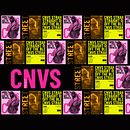 CNVS Project. Br, ing e Identidade, Teoria da cor, Design, Gestão de design, Design digital, Design editorial, Design gráfico, Design de logotipo, Tipografia, e Desenho tipográfico projeto de ckanvass - 28.08.2025