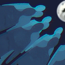 Indigo Night has captured me. Digital Illustration, Drawing, and Graphic Design project by Kaynak Serkan - 08.28.2025