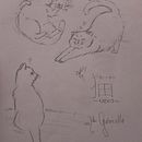 Estudo geral de anatomia animal. Character Design, Children's Illustration, Drawing, and Pencil Drawing project by mariagabriellacunha2 - 08.28.2025
