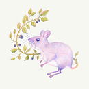 Illustration surréaliste inspirée par la nature, le mûrier de la souris. Un proyecto de Dibujo, Dibujo a lápiz, Dibujo artístico, Ilustración tradicional, Ilustración naturalista				 y Dibujo con lápices de colores de Charlène Leroux - 31.08.2025