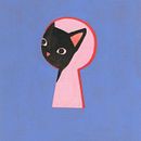 O gato sem nome e o homem de dois olhos. Escrita, e Escrita de ficção projeto de Diana Pop - 03.09.2025