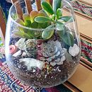 Terrario desde Argentina . Projekt z dziedziny  Dekoracja wnętrz, Projektowanie wnętrz, DIY, Architektura krajobrazu, Kompoz i cje kwiatowe i botaniczne użytkownika maricelmarchetti - 03.09.2025