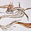 Sketchbook fantástico: Sirena guardián . % Walter Conci tarafından hazırlanan Yaratıcılık, Çizim, Geleneksel illüstras, on, Ve Eskiz defteri projesi - 09.05.2025