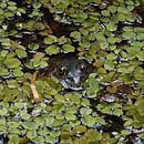 An Oasis of Life in Bogotá, D.C. Ein Projekt aus dem Bereich Fotografie für Instagram und Außenfotografie von Jhon Sebastian Castiblanco Riveros - 09.09.2025