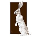 A series of wildlife sketches in pen and ink. Een project van  Tekening,  Illustratie met inkt, Naturalistische illustratie y  Schetsen van Cher Cowan - 09.09.2025