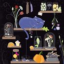 Cat Pantry Illustration. Un progetto di Disegno digitale, Illustrazione digitale, Pattern design e Illustrazione vettoriale di Michaela Stavova - 11.09.2025