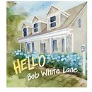 hello bob white lane. Drawing, H, Lettering, Lettering, and Digital Design project by Kerrie Kennedy - 09.11.2025