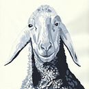 EXPERIMENTACIÓN. Un proyecto de Bocetado, Creatividad, Dibujo, Ilustración tradicional y Sketchbook de Analisa Moltó Vigon - 14.09.2025