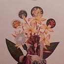 A Imperatriz. Un progetto di Collage di Karine Lopes - 17.09.2025