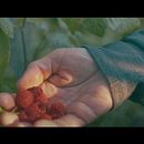 Color Grading. Un progetto di Postproduzione audiovisiva e Correzione del colore di Luane Palhares - 17.09.2025