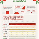 Tomatoes in numbers . Infografis, Dan Desain Informasi proyek oleh katranoo - 09.17.2025