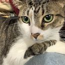 Form . Desen, Pictură în acuarelă, Ilustrație arhitecturală, Caiet de schițe, Ilustrație cu cerneală și Schițe de Raphaela Veras - 09.18.2025