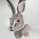 Lapin final . Een project van Traditionele illustratie, Aquarelschilderen,  Beeldende kunst y Naturalistische illustratie van laeticiamota - 22.09.2025