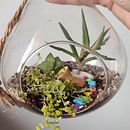 Terrario de Interior. Un progetto di Interior Design, Interior design, DIY, Paesaggismo e Design floreale e vegetale di Vanessa Nicole Campaña García - 23.09.2025
