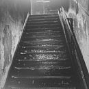 La escalera del mundo . % Laura Cabrera tarafından hazırlanan Anlatı projesi - 09.26.2025