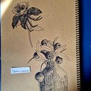 natureza em um vaso. Un proyecto de Dibujo de Lápis Colado - 27.09.2025