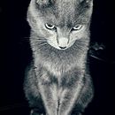 Entschuldigung Ein Projekt aus dem Bereich Fotografie, Grafikdesign, Erzählung, Stor, telling, Digitalfotografie und Schrift von Lia Bellizia - 01.10.2025