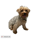 Proyecto 1. Projekt z dziedziny DIY, Design i  Dekoracja wnętrz użytkownika perlafda - 03.10.2025