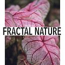 Fractal Nature  . Br, ing și identitate, Design, Design grafic, Design de logo și Tipografie de Daniela Castro - 10.03.2025