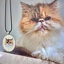 Mini ritratto di gatto. Projekt z dziedziny  Haft, Projektowanie biżuterii, Wzornictwo tekst i liów użytkownika Martina Cirronis - 04.10.2025