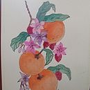 Naranjas y frambuesas . Lukisan Akrilik, Ilustrasi tradisional, Ilustrasi Botani, Gambar Pensil Berwarna & Ilustrasi Tinta proyek oleh Concepción Gallardo Florido - 10.10.2025