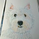 Pet Portrait  . % Xenia Katsarou tarafından hazırlanan Çizim projesi - 10.15.2025