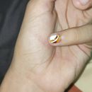 Uñas acuareladas con colores ins. en animal print . % Gloria Tronco Reyes tarafından hazırlanan Dekoratif Bo, ama, Tasarım, Geleneksel illüstras, on, Tablo, Ve Desen Tasarımı projesi - 10.18.2025