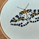 Projeto final do curso Bordado em miniatura: crie joias têxteis. Un progetto di Ricamo, Design di gioielli e Textile Design di Marina Gonçalves - 18.10.2025